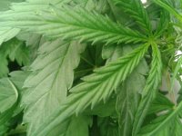 2021-04-10 22.40.30.jpg