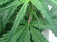 2021-04-10 22.41.37.jpg