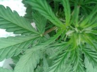 2021-04-10 22.42.06.jpg