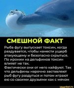 FB_IMG_1618199931479.jpg