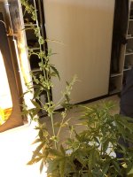 IMG_0028.JPG