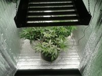 2021-04-12 14.07.19.jpg