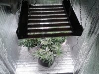 2021-04-12 14.07.01.jpg