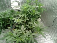 2021-04-12 14.07.35.jpg