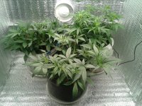 2021-04-12 14.06.43.jpg