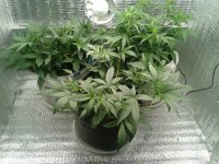 2021-04-12 14.06.22.jpg