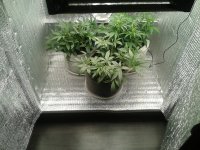 2021-04-12 14.06.08.jpg