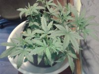 2021-04-12 13.55.27.jpg