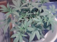 2021-04-12 13.54.55.jpg