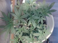 2021-04-12 13.54.09.jpg