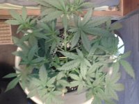 2021-04-12 13.53.50.jpg