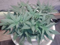 2021-04-12 13.31.19.jpg