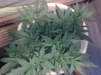 2021-04-12 13.30.55.jpg