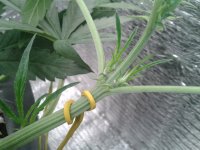 2021-04-13 14.48.03.jpg