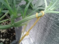 2021-04-13 14.48.23.jpg