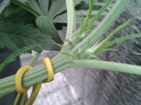 2021-04-13 14.49.54.jpg