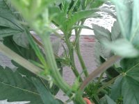 2021-04-13 14.50.13.jpg