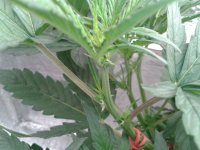 2021-04-13 14.50.33.jpg