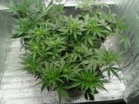 2021-04-13 14.50.57.jpg