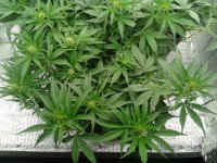 2021-04-13 14.51.22.jpg