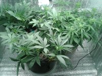 2021-04-14 14.30.39.jpg