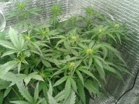 2021-04-14 14.30.51.jpg