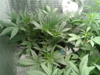 2021-04-14 14.31.03.jpg