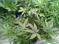 2021-04-14 14.31.12.jpg