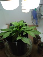 IMG_20210408_144053_1.jpg