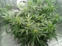 2021-04-15 15.20.16.jpg