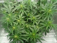 2021-04-15 15.20.44.jpg