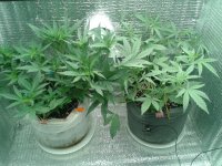 2021-04-16 15.20.39.jpg