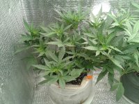 2021-04-16 15.20.49.jpg