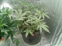 2021-04-16 15.20.58.jpg