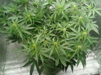 2021-04-16 15.35.50.jpg