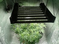 2021-04-16 15.35.27.jpg