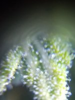 image-2021-04-16 21_42_02.jpg