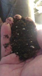 умерено сухой.jpg