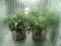 2021-04-17 13.28.37.jpg