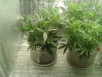 2021-04-17 13.28.57.jpg