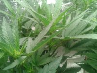 2021-04-17 13.29.47.jpg