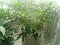 2021-04-17 13.30.09.jpg