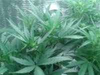 2021-04-17 13.30.35.jpg