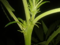 2021-04-17 07.01.20.jpg