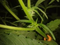 2021-04-17 07.00.57.jpg