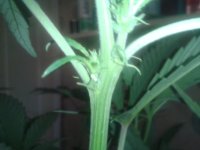 2021-04-17 06.58.51.jpg