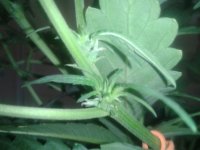 2021-04-17 06.59.12.jpg