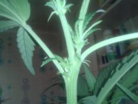 2021-04-17 06.59.53.jpg