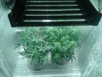 2021-04-18 14.45.59.jpg