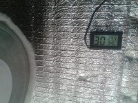 2021-04-18 14.47.06.jpg